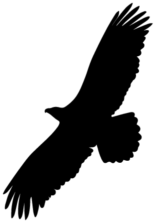 golden eagle silhouette graphic